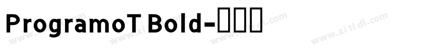 ProgramoT Bold字体转换